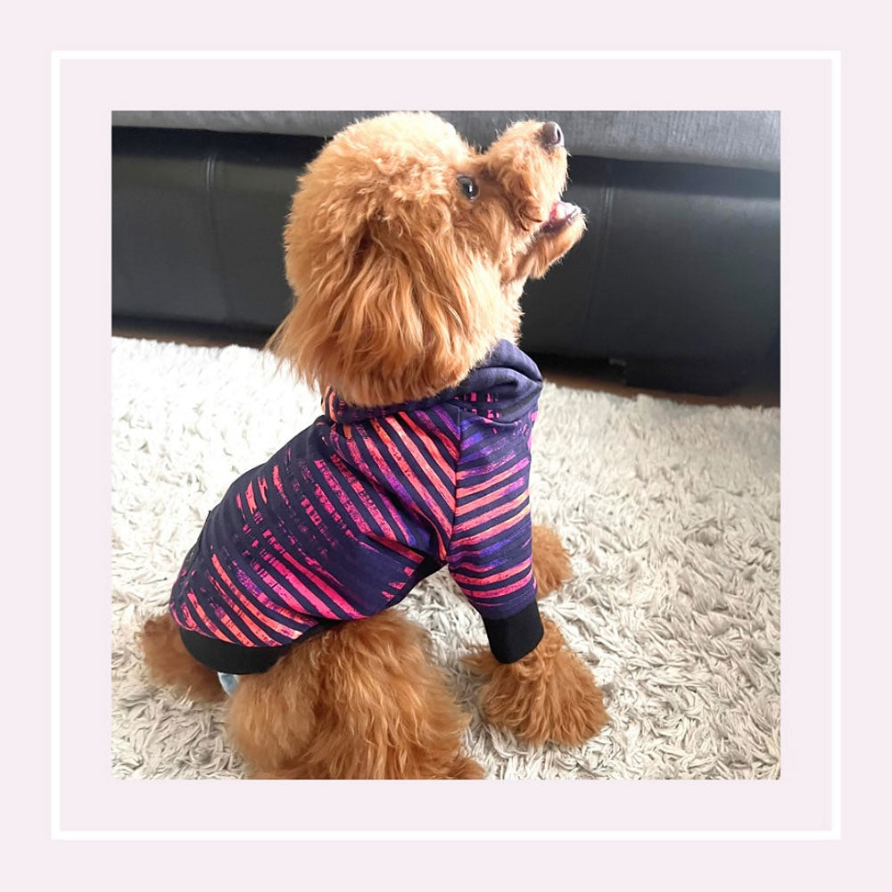 ペイントボーダーパーカー(小型犬)