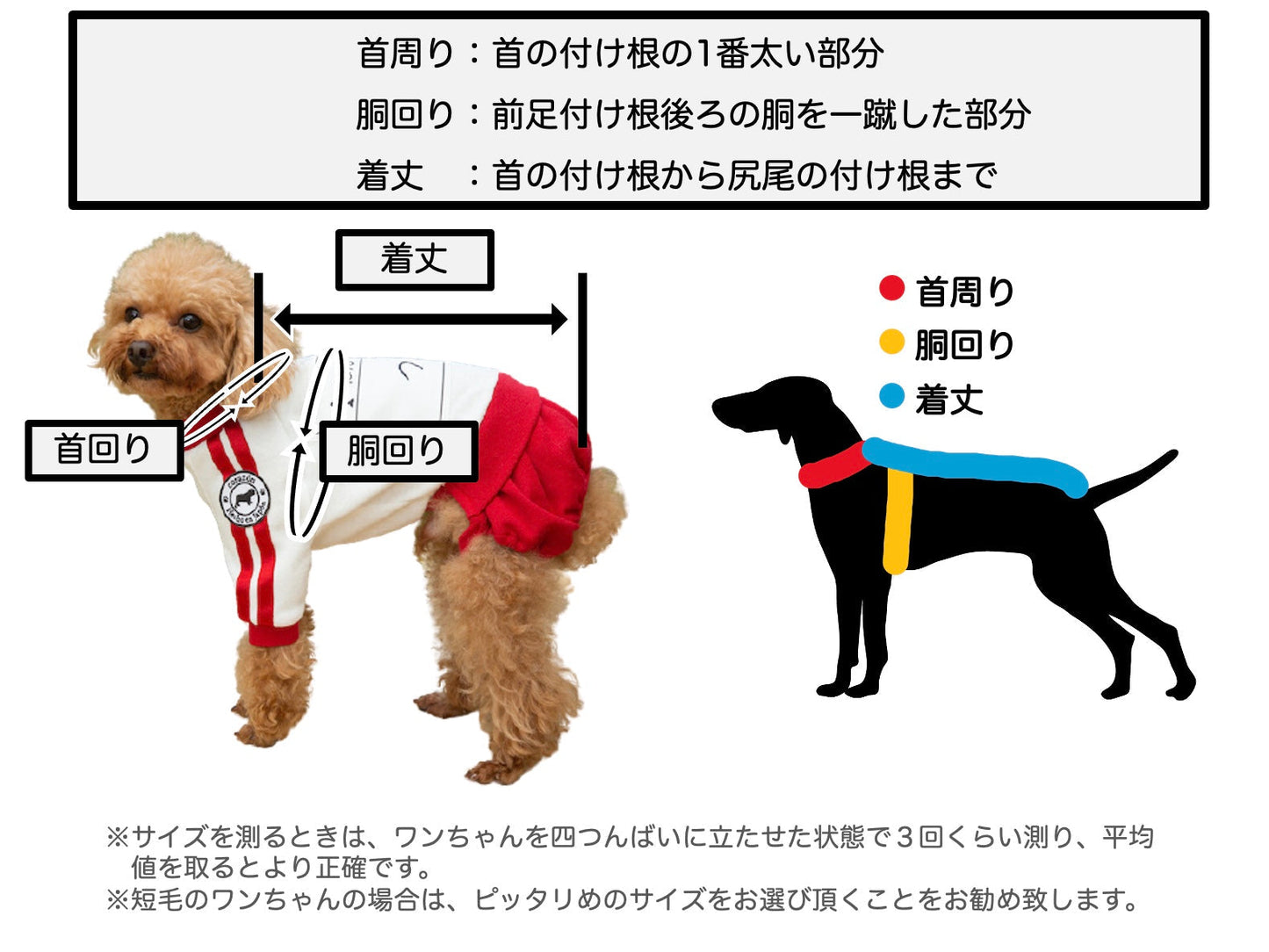 【えんじ】ゼッケン付きブルマ体操着 - コットン100%