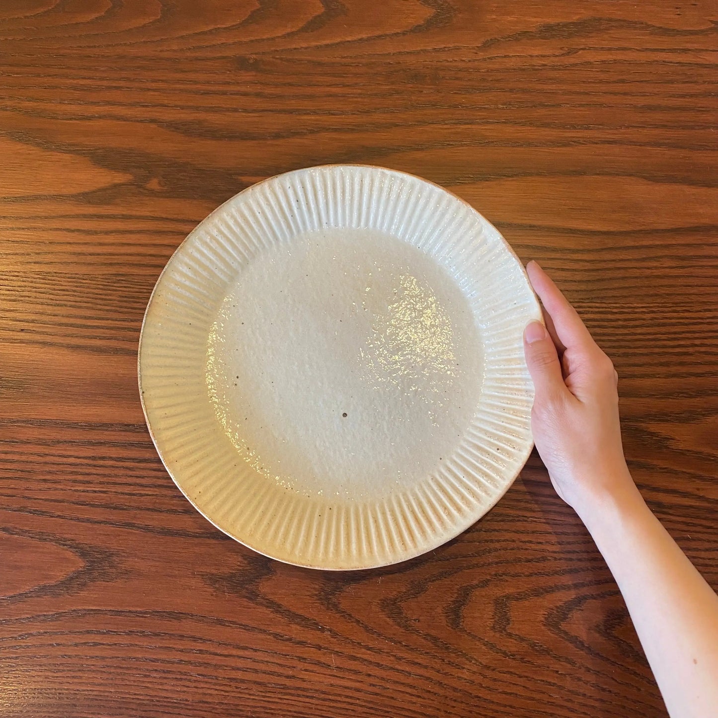 ラッフルプレート L 鉄散｜古谷製陶所（信楽焼 陶器）【古32】