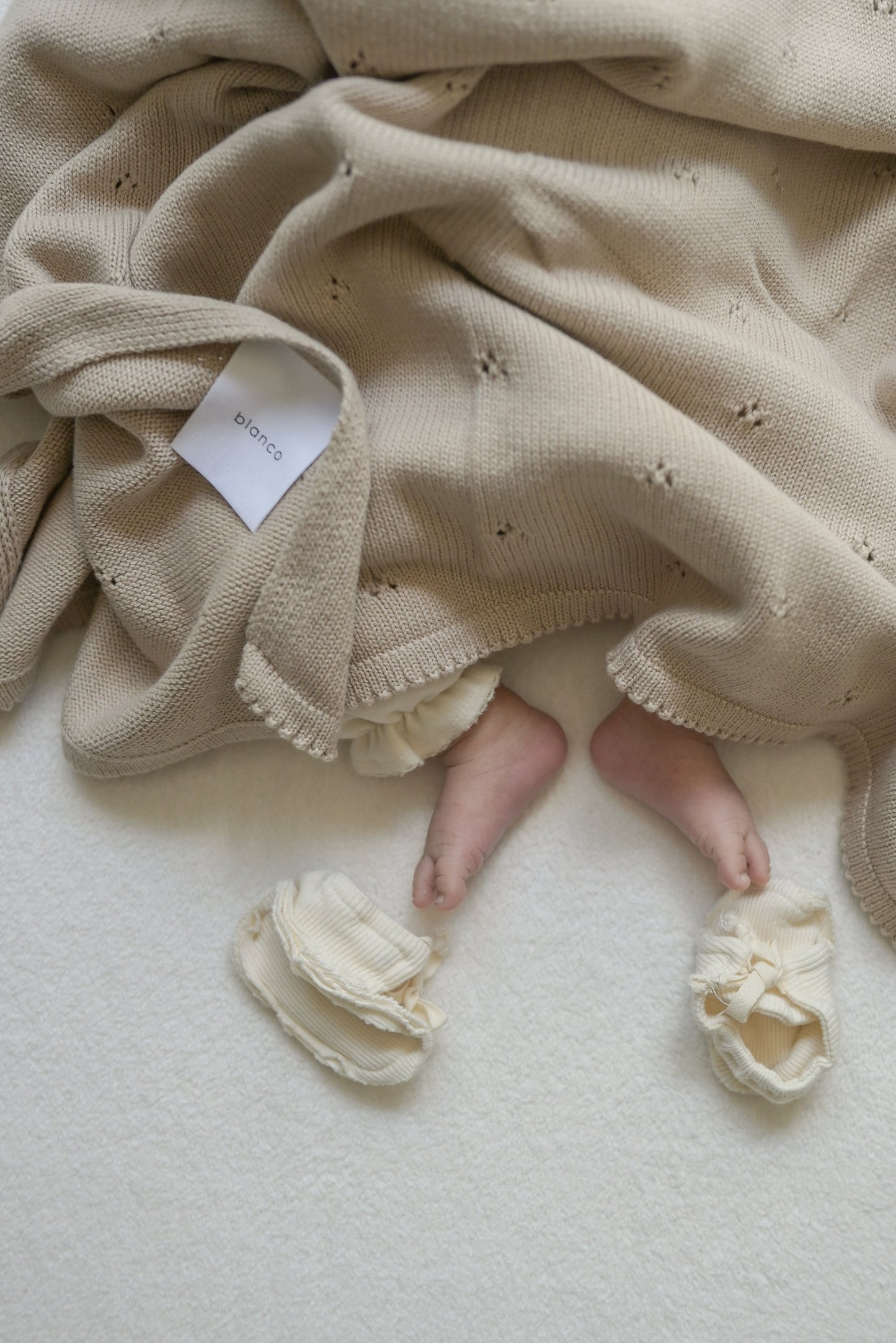 organic cotton blanket