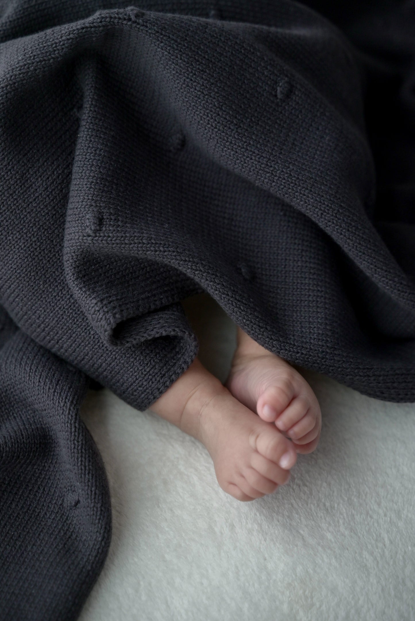 organic cotton blanket