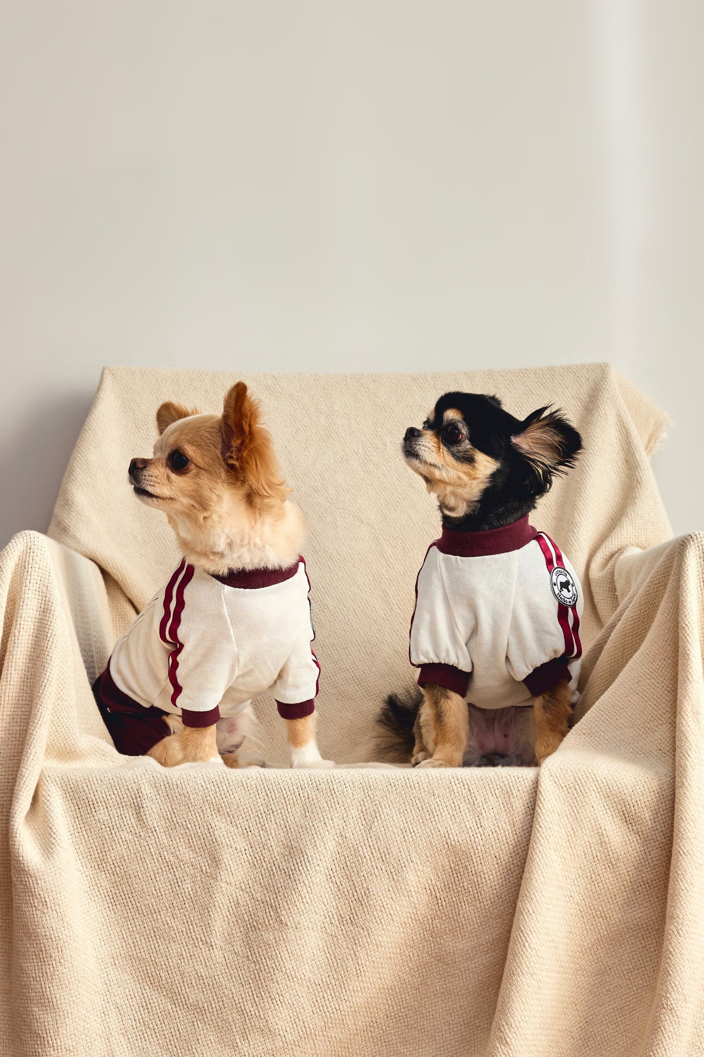 【えんじ】ゼッケン付きブルマ体操着 - コットン100%