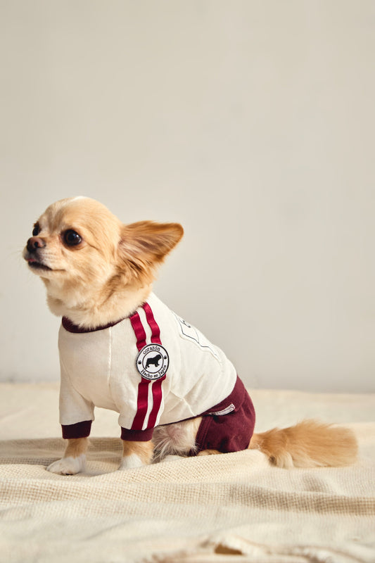 【えんじ】ゼッケン付きブルマ体操着 - コットン100%