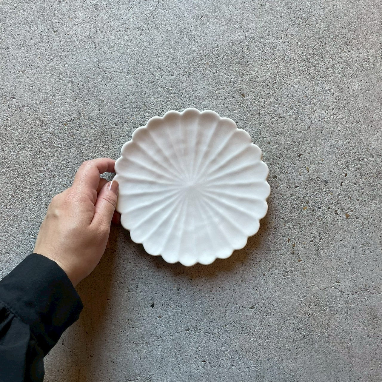 五寸皿　五寸手彫り皿　白【FK21】