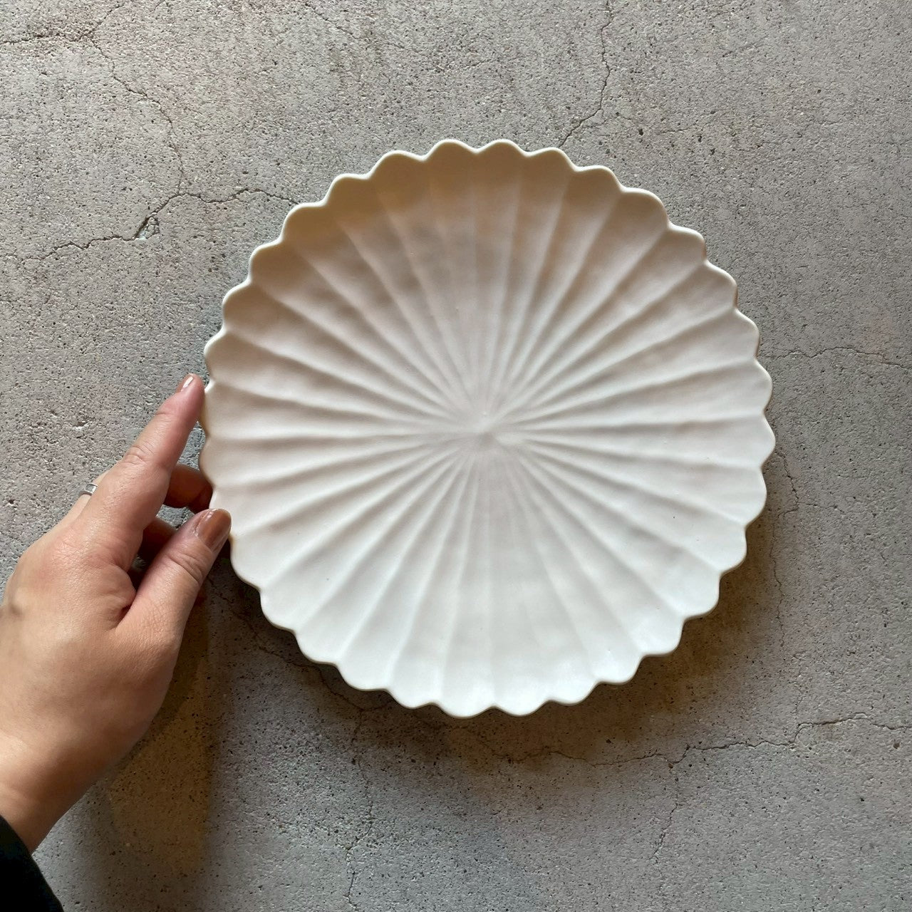 七寸皿 七寸手彫り皿 白【FK52】