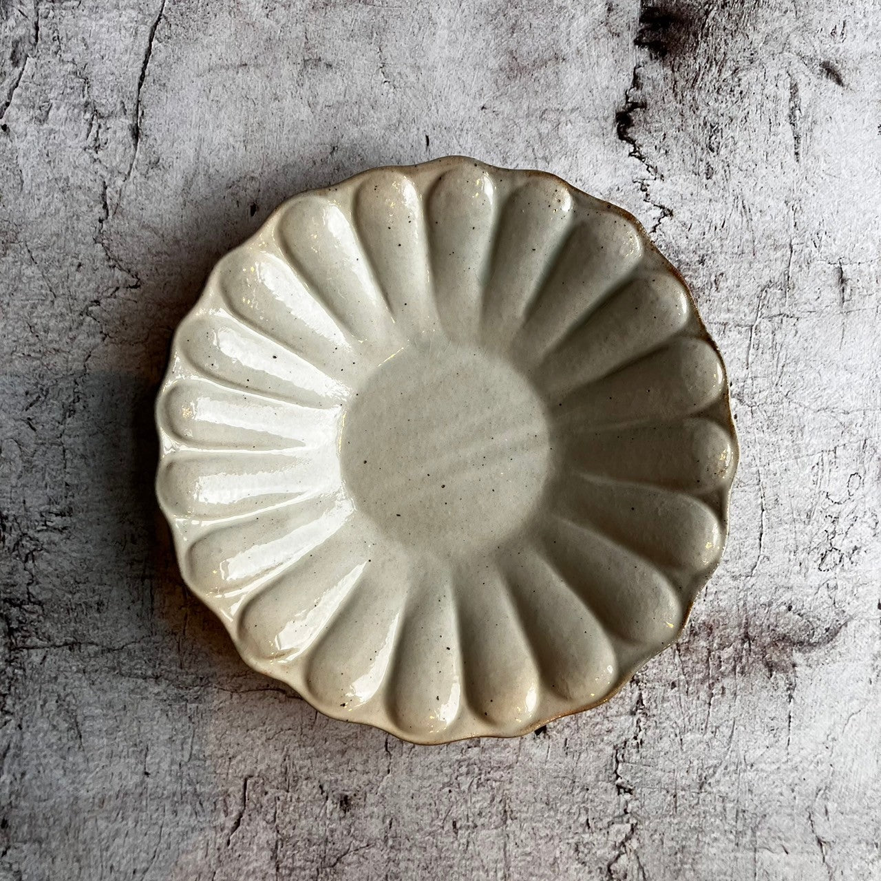 輪花深皿 大 鉄散｜古谷製陶所（信楽焼 陶器）【古33】