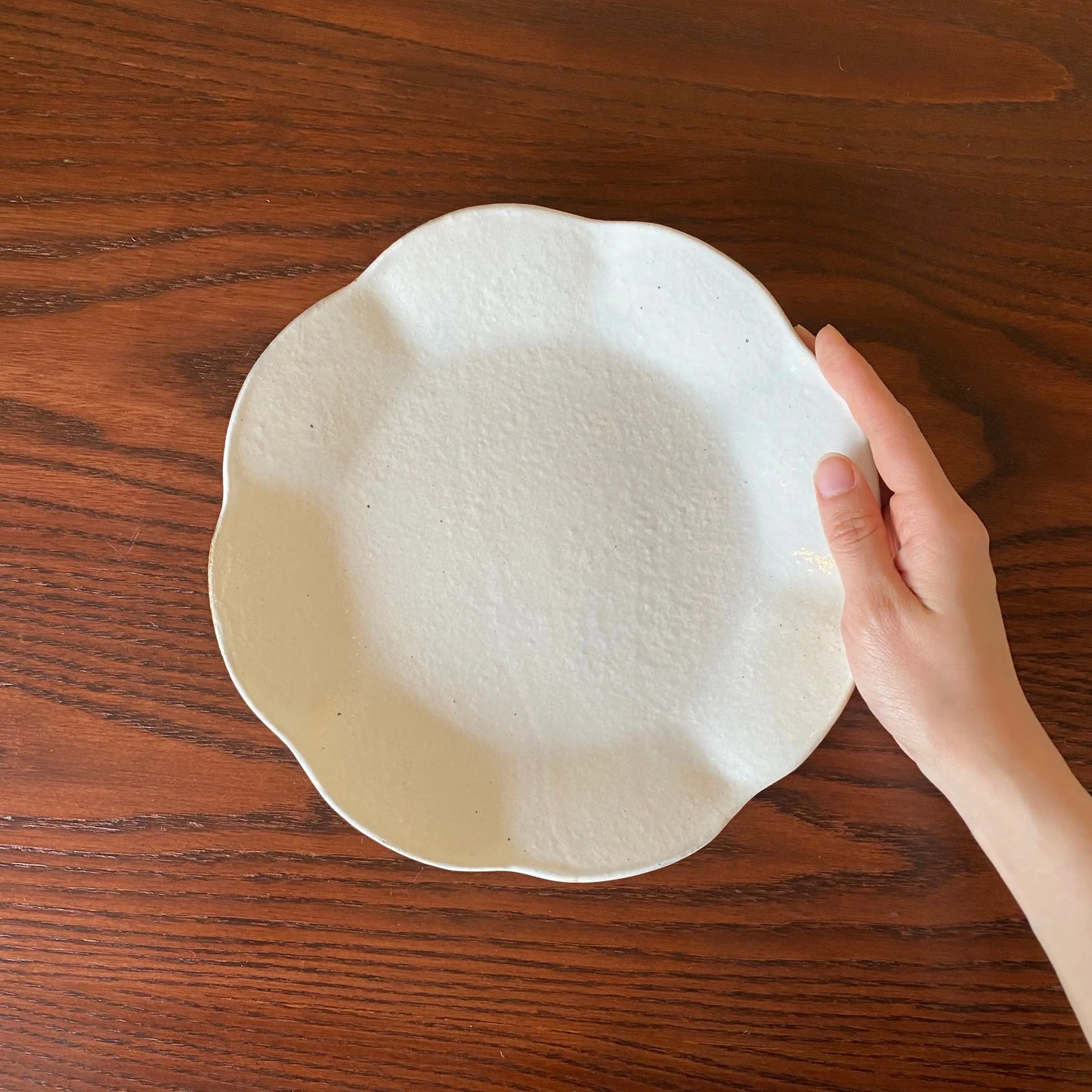 輪花皿 中 鉄散｜古谷製陶所（信楽焼 陶器）【古59】