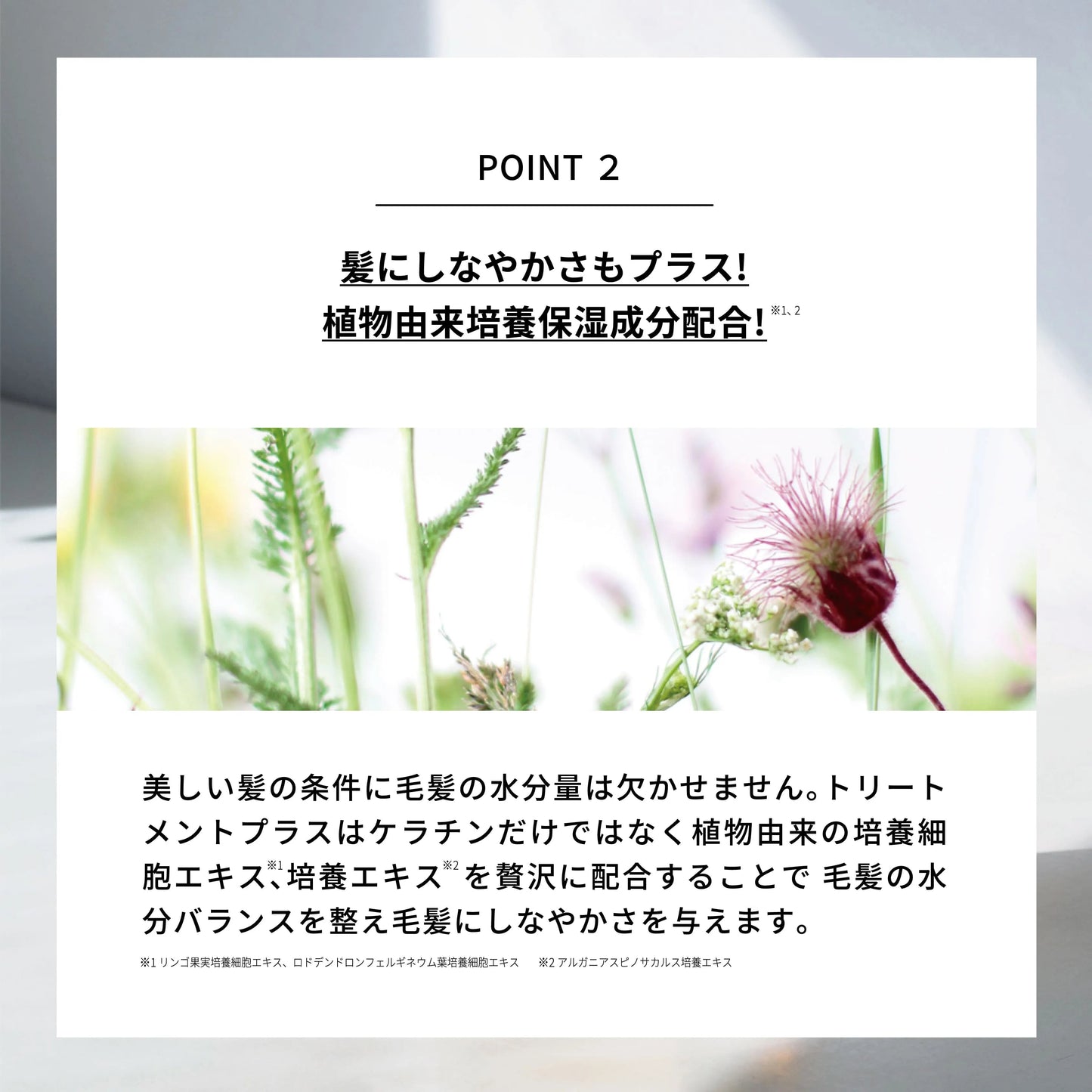 エマコッカーナ トリートメントプラス 100ml / 500ml｜Emma Cocarne