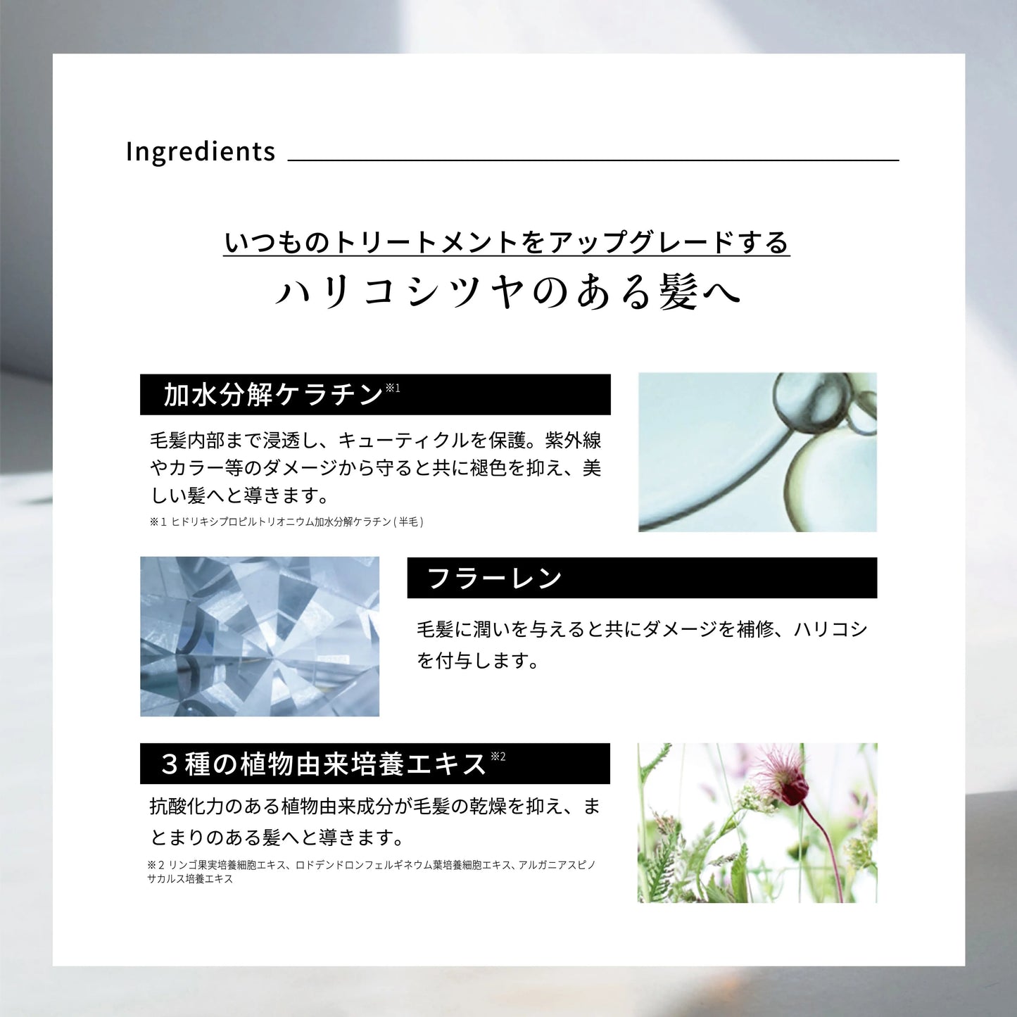 エマコッカーナ トリートメントプラス 100ml / 500ml｜Emma Cocarne