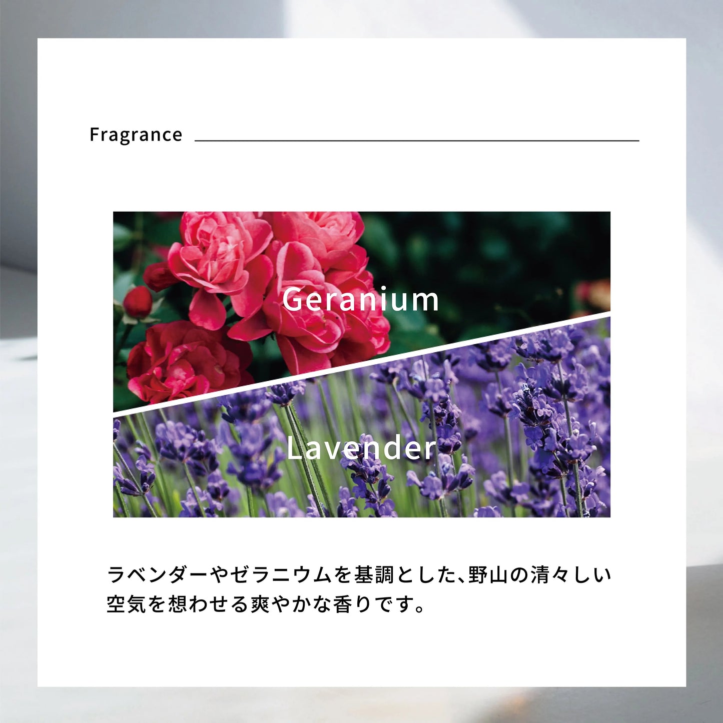 エマコッカーナ トリートメントプラス 100ml / 500ml｜Emma Cocarne