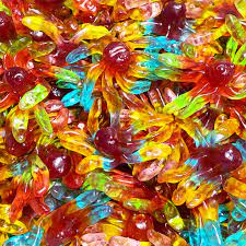 Trolli Octopus Gummy　100g トローリー　オクトパス　グミ
